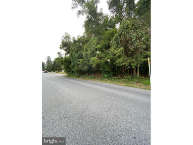 The possibilities are many on this 46,760 SF (1.073 acres) of - photo 9
