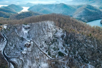 Incredible view of Watauga Lake! Mountains and Lake views are - photo 31