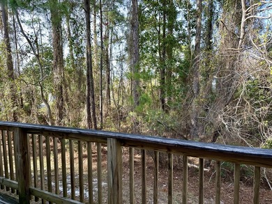 Less Than 10 Minutes to the Beaches of 30A!This beautifully - photo 39