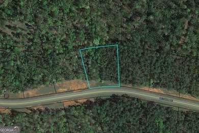 River Forest building lot. 1.33 Acres. Private lot. Conveniently - photo 1