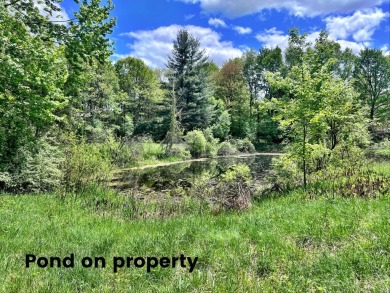 Lake Acreage For Sale in Greenville, Michigan