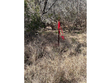 Great Lot with distant water view, partially cleared, backs up - photo 11