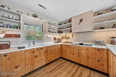 This rare 2 acre estate is one of Wilmington's most unique - photo 12