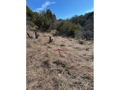 Great Lot with distant water view, partially cleared, backs up - photo 13
