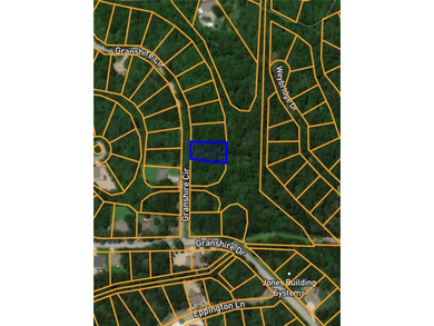 Not one BUT TWO lots/ .65 acres between Lake Brittany and Lake - photo 4
