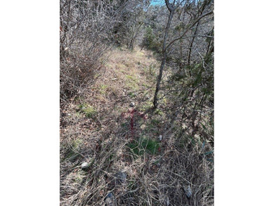 Great Lot with distant water view, partially cleared, backs up - photo 15