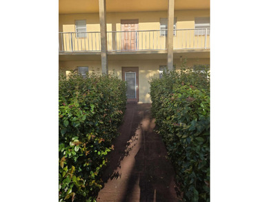 8400 Sunrise Lakes Blvd 107 - photo 5