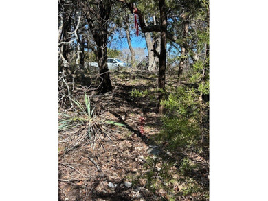 Great Lot with distant water view, partially cleared, backs up - photo 19