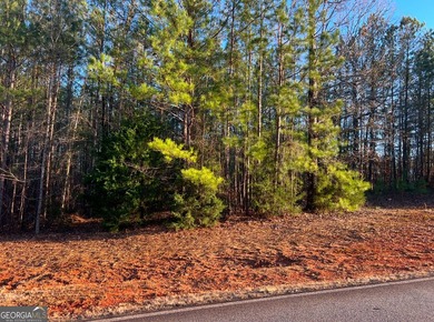 River Forest building lot. 1.27 Acres. Private lot. Conveniently - photo 1