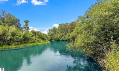 Lake Home For Sale in Benzonia, Michigan