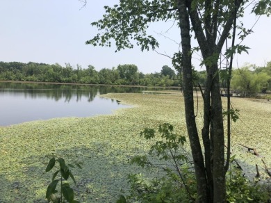 Lake Acreage For Sale in Alton, Missouri