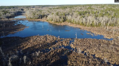 (private lake, pond, coastal) Acreage For Sale in Wagener South Carolina
