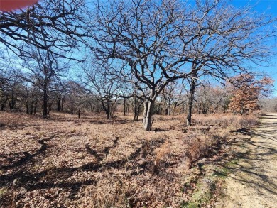 Lake Lot For Sale in Nocona, Texas