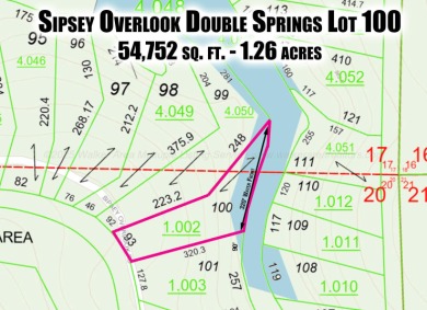 This is an amazing lot with 320' of year round water shoreline - Lake Lot For Sale in Double Springs, Alabama