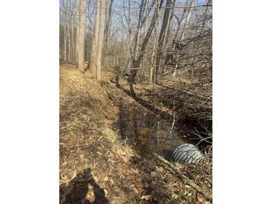 Lake Acreage For Sale in Hardy, Virginia