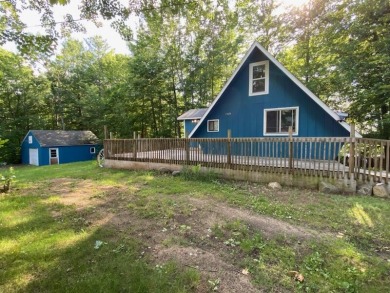 Martiny Lakes - Mecosta County Home Sale Pending in Barryton Michigan