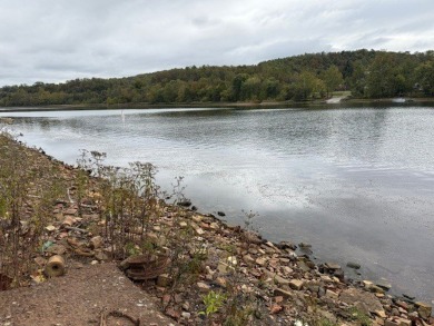 (private lake, pond, creek) Commercial For Sale in Forward Twp Pennsylvania