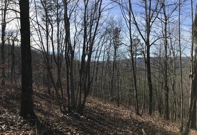 Welcome to your serene escape at 0 Chestnut Oak Drive, Unit 309 - photo 11