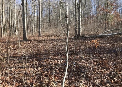 Welcome to your serene escape at 0 Chestnut Oak Drive, Unit 309 - photo 12
