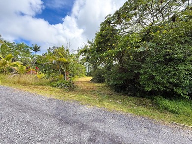 1-Acre Lot in Hawaiian Paradise Park - Prime Agricultural Land - photo 3