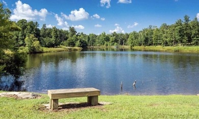 Welcome to your serene escape at 0 Chestnut Oak Drive, Unit 309 - photo 20