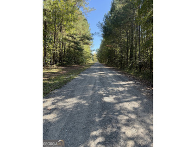 Juliette Mill Lake Acreage For Sale in Forsyth Georgia