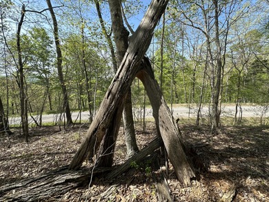 Greenbrier River Acreage For Sale in Caldwell West Virginia