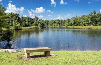 Welcome to your serene escape at 0 Chestnut Oak Drive, Unit 309 - photo 23