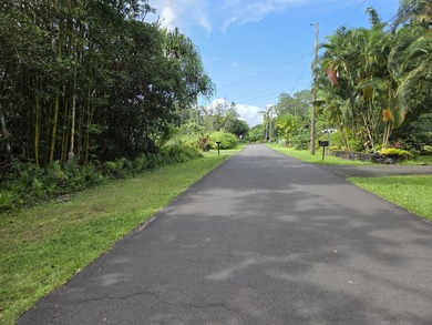 This is a prime building lot in Hawaiian Shores Recreational - photo 3