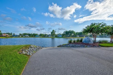 This home in the gated neighborhood of Waterbridge is brand new - photo 29