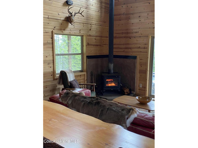 This terrific move-in-ready 2-bedroom plus loft/1.5 bath cabin - photo 34