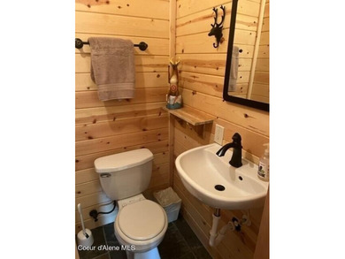 This terrific move-in-ready 2-bedroom plus loft/1.5 bath cabin - photo 42