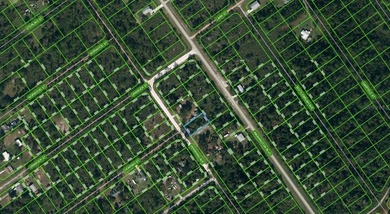 Lake Istokpoga Lot For Sale in Lake Placid Florida