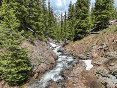 Lake Acreage For Sale in Silverton, Colorado