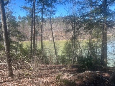 Discover the perfect waterfront retreat on Lot 38 in the - Lake Lot For Sale in Jasper, Alabama