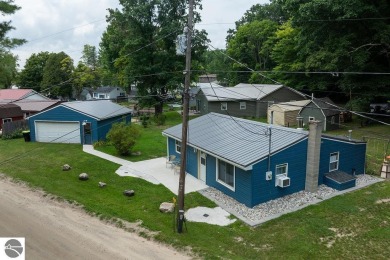 Lake Home For Sale in Lake, Michigan