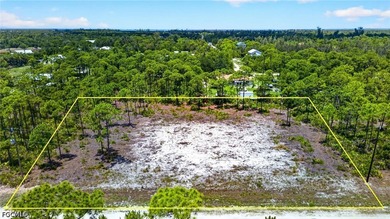 Rare Double-Lot Oasis! Cleared 1-Acre Parcel in Desirable - photo 1