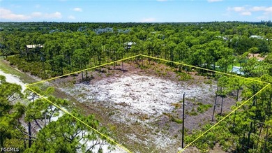 Rare Double-Lot Oasis! Cleared 1-Acre Parcel in Desirable - photo 2
