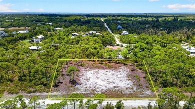 Rare Double-Lot Oasis! Cleared 1-Acre Parcel in Desirable - photo 3