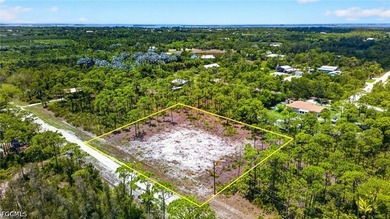 Rare Double-Lot Oasis! Cleared 1-Acre Parcel in Desirable - photo 4