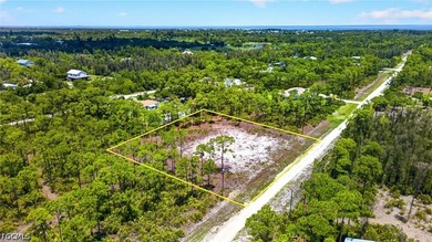Rare Double-Lot Oasis! Cleared 1-Acre Parcel in Desirable - photo 5
