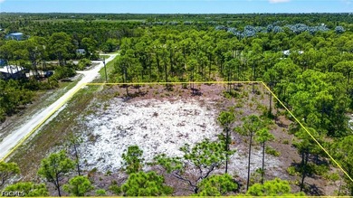 Rare Double-Lot Oasis! Cleared 1-Acre Parcel in Desirable - photo 6