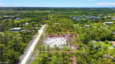 Rare Double-Lot Oasis! Cleared 1-Acre Parcel in Desirable - photo 7