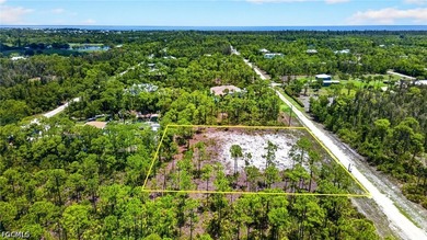 Rare Double-Lot Oasis! Cleared 1-Acre Parcel in Desirable - photo 8