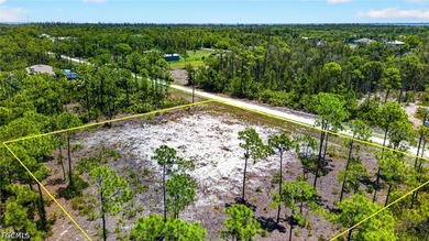 Rare Double-Lot Oasis! Cleared 1-Acre Parcel in Desirable - photo 10
