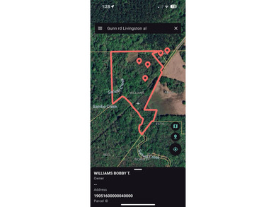 (private lake, pond, coastal) Acreage For Sale in Livingston Alabama