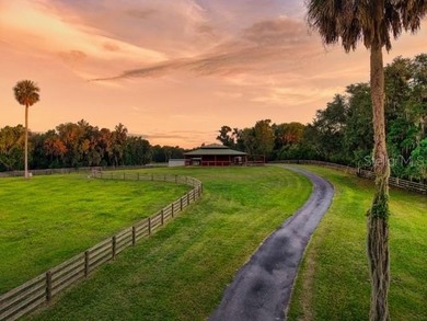 Welcome to one of Ocala's most extraordinary private sporting & - photo 6