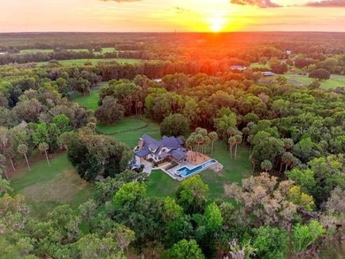 Welcome to one of Ocala's most extraordinary private sporting & - photo 9