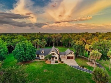 Welcome to one of Ocala's most extraordinary private sporting & - photo 10