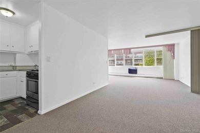 Welcome to this spacious and well-maintained co-op studio in the - photo 7